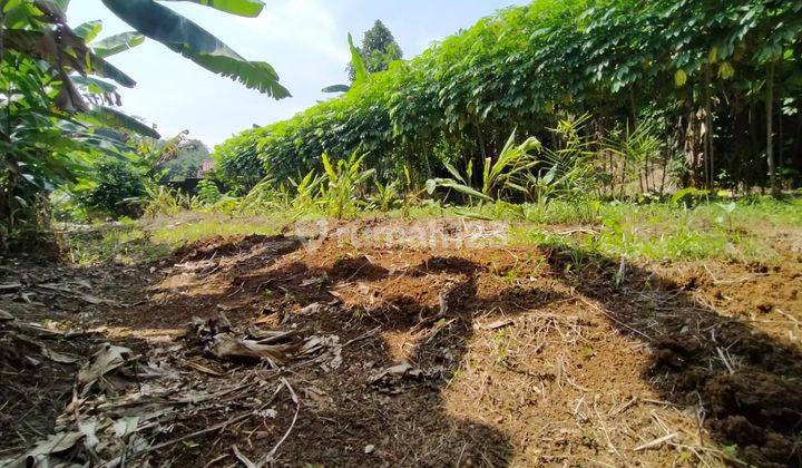 Tanah Murah SHM Dekat Universitas Nusa Bangsa Bogor 8