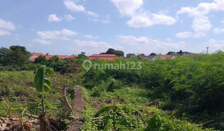 Jual Tanah Siap Bangun Di Canggu Kayu Tulang 2