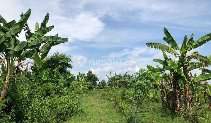 Kavling Murah, Kartoharjo, 5 Menit Carrefour Madiun  1