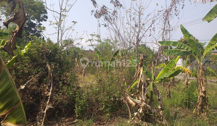 Kavling Madiun, Wungu, 3 Menit Kampus Unipma Madiun  1