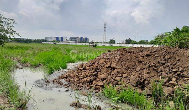 500 M Politeknik Negeri Madiun, Tanah Termurah, Winongo  2