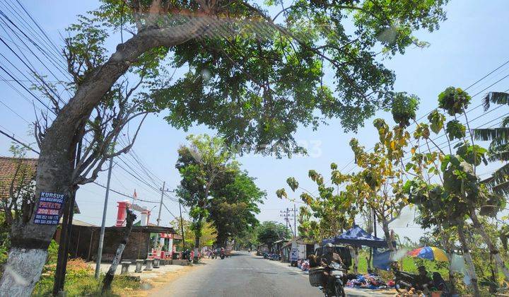 5 Menit Stasiun Ka Barat, Tanah Murah, Maospati  1