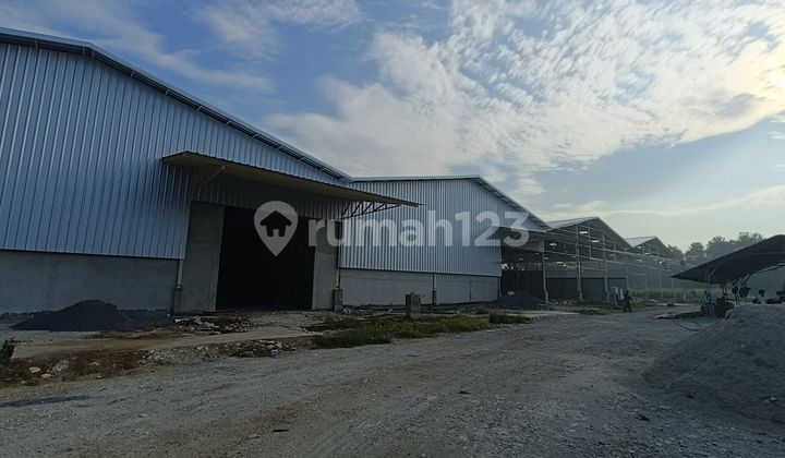 New Warehouse D Cikupa Near Primaya Hospital For Rent Flood-Free