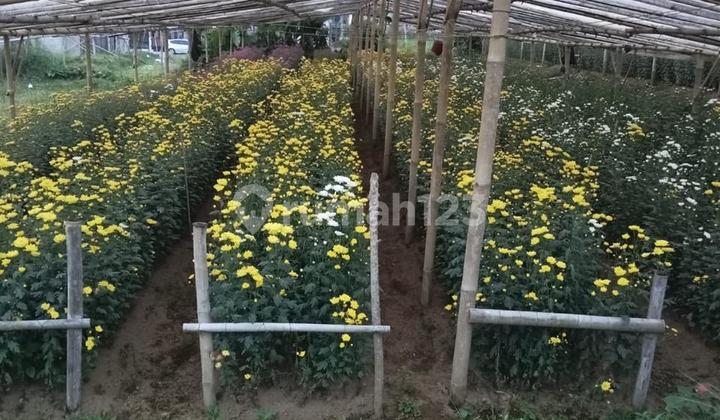 Lahan Sejuk Kota Sukabumi