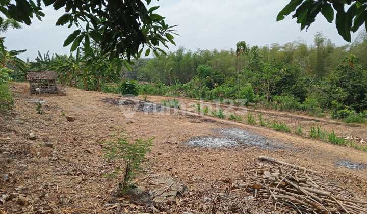 Tanah Siap Pakai Harga Damai 2
