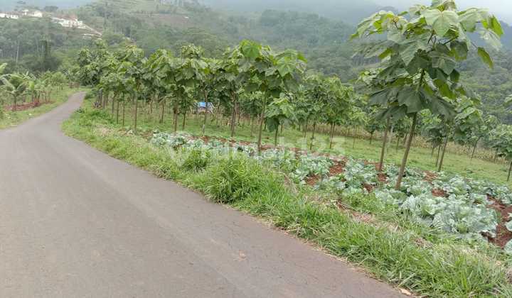 Lahan Luas Dekat Bandara Kertajati Majalengka Lahan Luas Dekat Bandara Kertajati Majalengka