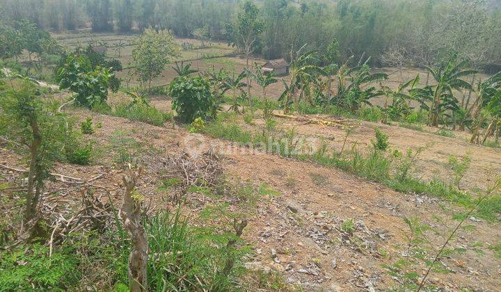 Tanah Siap Pakai Harga Damai 1
