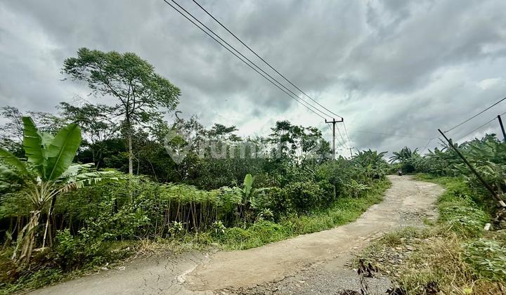 KAVLING HAMBALANG Luas 12ha = 120,000m2 .dikelilingi cluster baru,view cantik cocok untuk usaha dan investasi besar,Paling Terjangkau ,Pinggir Jalan.ketinggian 340-400mdpl. KAVLING HAMBALANG Luas 12ha = 120,000m2 .dikelilingi cluster baru,view cantik cocok untuk usaha dan investasi besar,Paling Terjangkau ,Pinggir Jalan.ketinggian 340-400mdpl.