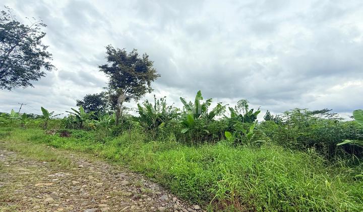 KAVLING HAMBALANG Luas 12ha = 120,000m2 .dikelilingi cluster baru,view cantik cocok untuk usaha dan investasi besar,Paling Terjangkau ,Pinggir Jalan.ketinggian 340-400mdpl. KAVLING HAMBALANG Luas 12ha = 120,000m2 .dikelilingi cluster baru,view cantik cocok untuk usaha dan investasi besar,Paling Terjangkau ,Pinggir Jalan.ketinggian 340-400mdpl.