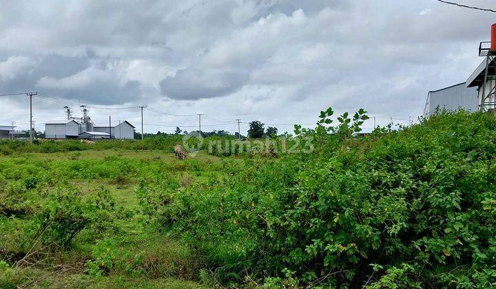 Di Jual Tanah 5000 M² Di Pergudangan Pattene 2