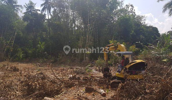12 Menit Ke Pintu Tol Sentul Selatan, Terbatas, Shm, Cuma 3 Jt an m 4