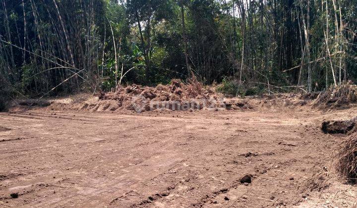 9 Menit Ke Smpn 2 Babakan Madhang, Tanah Matang, Shm, Cuma 3 Jt An M, Lahan Matang, Siap Bangun 3