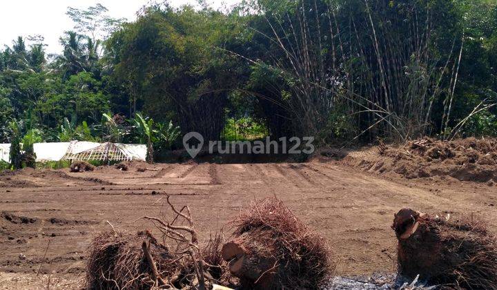 9 Menit Ke Smpn 2 Babakan Madhang, Tanah Matang, Shm, Cuma 3 Jt An M, Lahan Matang, Siap Bangun 4