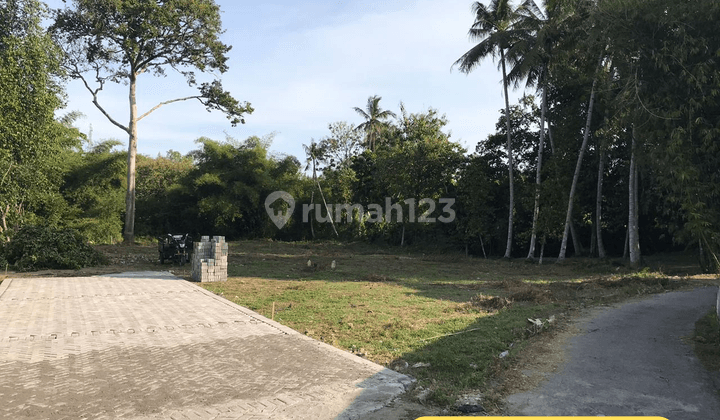 Tanah Murah 2 Jutaan Dekat Sirkuit Sentul. SHM 1