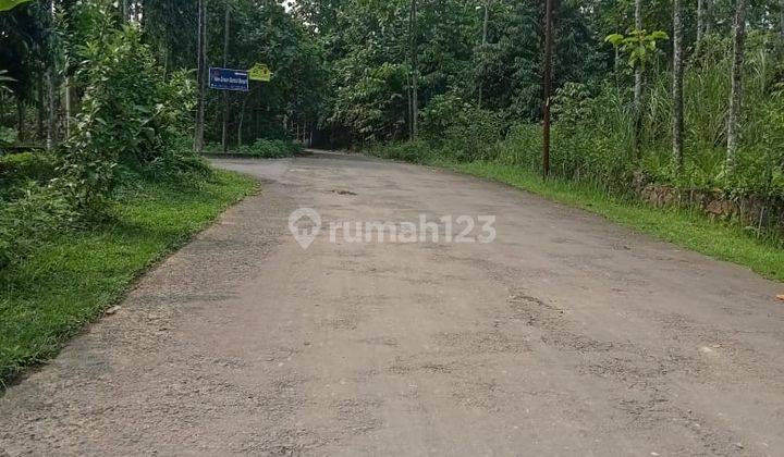 Tanah Murah 2 Jutaan Dekat Sirkuit Sentul. SHM 2