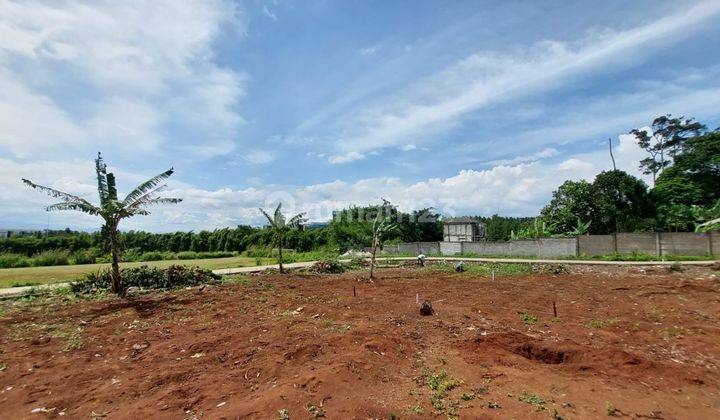 Tanah Murah Dekat Aeon Mall Sentul City, Hanya 300 Jutaan 2