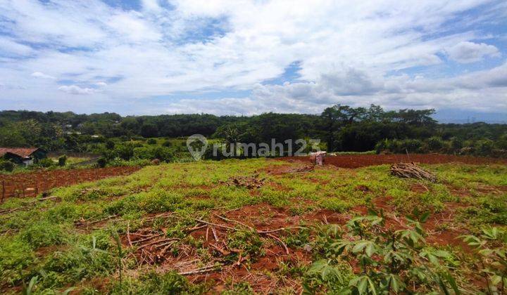 Tanah Kavling Bogor Dekat Cibinong City Mall Dan Gerbang Tol  2