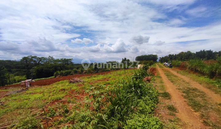 Dijual Tanah Kavling Bogor Dekat Jalan Raya Sukahati  1