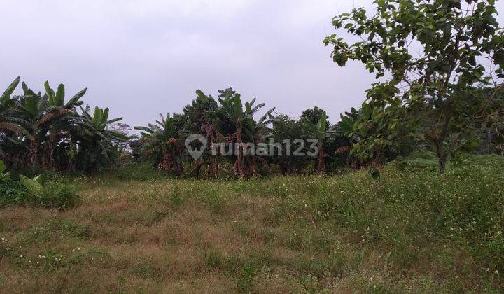 Tanah Kavling Siap Bangun Dengan Kepastian Legalitas Dan Lokasi Strategis 1