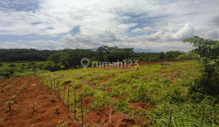 Tanah Kavling Bogor, Lahan Matang Siap Bangun di Cibinong  1