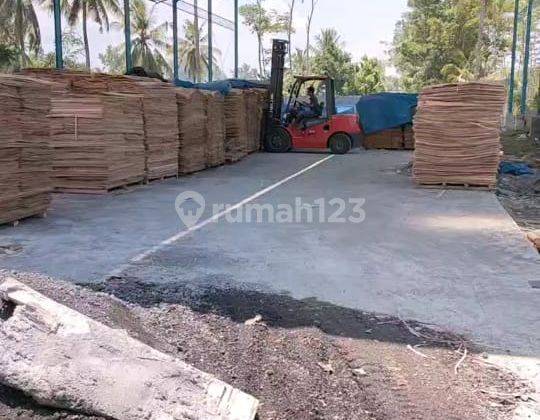 Tanah Istimewa Area Pasirian Lumajang Pantura Banyuwangi Jawa Timur 7