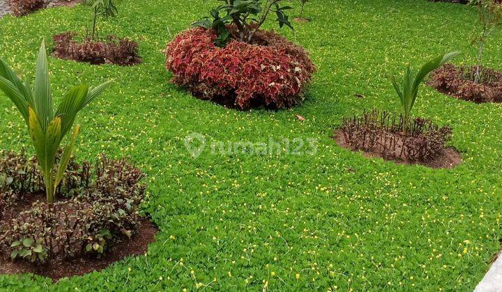 Rumah Murah Dekat Exit Tol Cigombong, Bisa Kpr 2