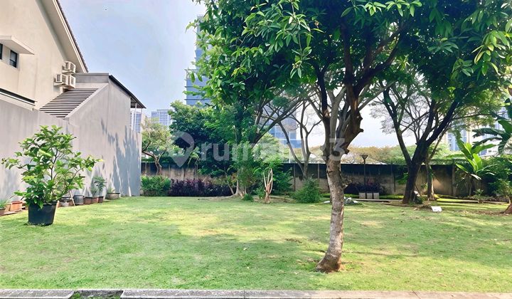 For Sale Rare Plot BSD Foresta Allevare