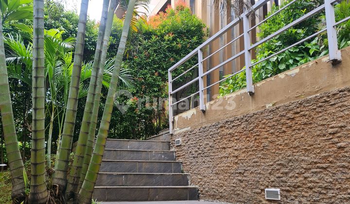 Dijual Rumah Mewah Cluster Brassia - De Park Bsd City 2