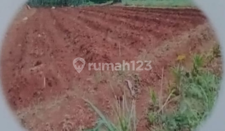 Strategic Location Land 5 Ha in Cikeas Bogor