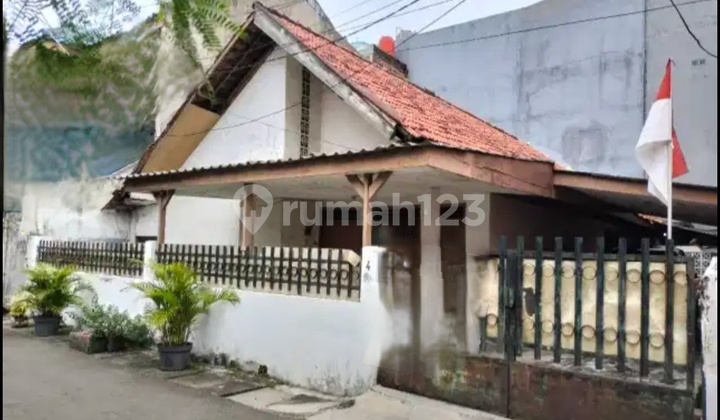 Rumah Tua SHM di Kayu Putih Jakarta Timur 2