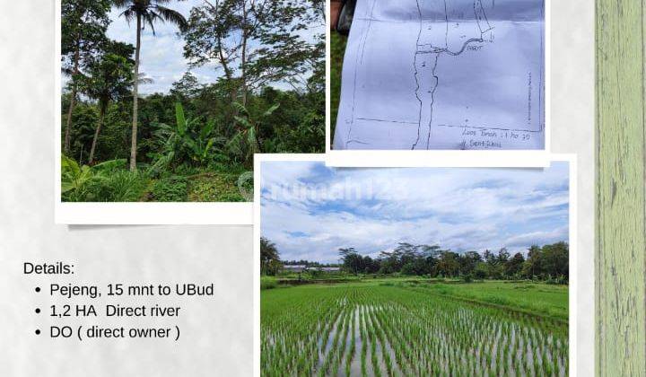 DIJUAL CEPAT TANAH kavling di pejeng Gianyar BALI luas 1,2 ha 1
