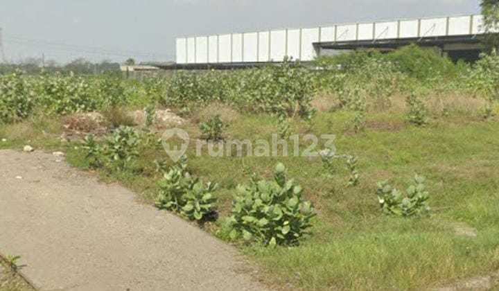 Dijual Kavling 2 Ha Cikande Banten !!! Kawasan Pergudangan !!!! Dijual Kavling 2 Ha Cikande Banten !!! Kawasan Pergudangan !!!!