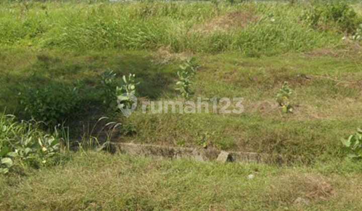 Dijual Kavling 2 Ha Cikande Banten !!! Kawasan Pergudangan !!!! Dijual Kavling 2 Ha Cikande Banten !!! Kawasan Pergudangan !!!!