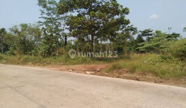 Tanah Maja Lebak Banten 1