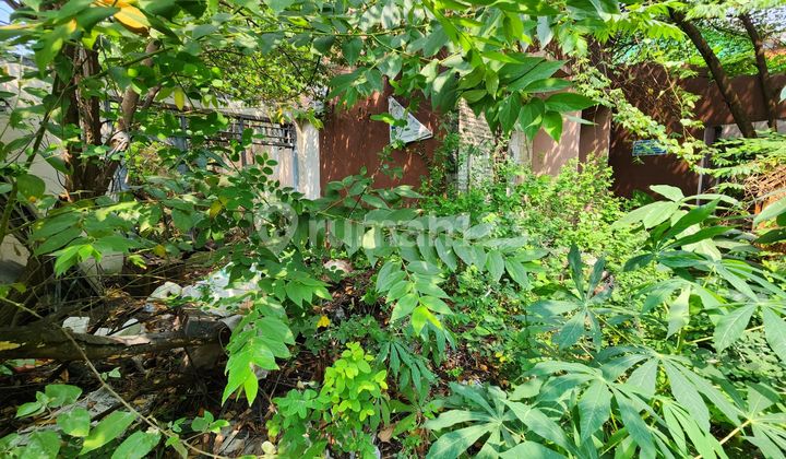 Dijual Murah Hitung Tanah di Jl B Cipinang Muara, Jatinegara, Jaktim 2