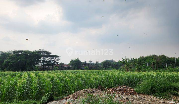 Tanah di Kp cilubang pakuan regency murah meriah cocok buat cluster perubahan  1