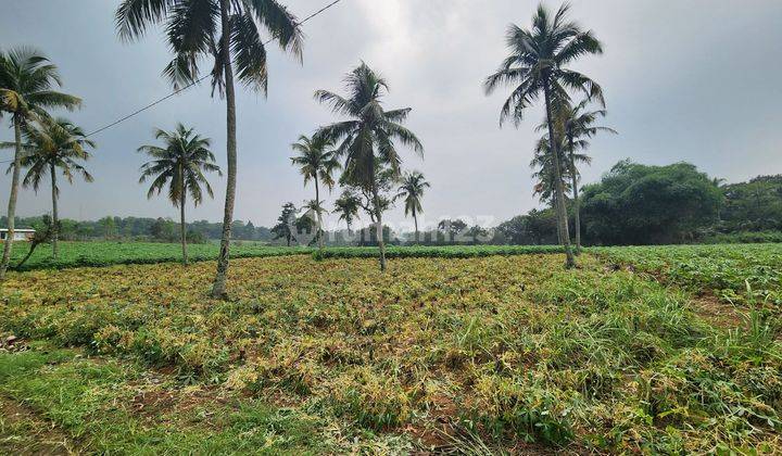 Tanah di Rumah kebun  parung hijau kemang bogor murah cocok villa 2