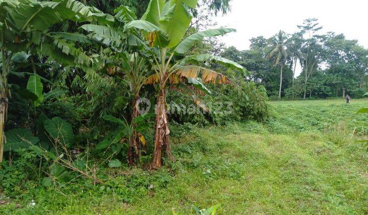 Lahan Siap Bangun Di Lokasi Sejuk Ciampea Bogor 2