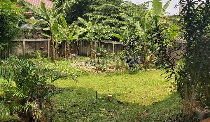 Hunian Dengan Halaman Luas Di Tengah Kota Lebakbulus Jaksel 2