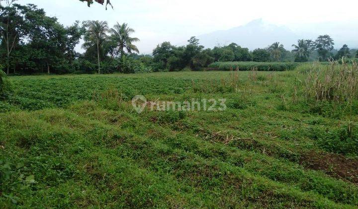 Lahan Siap Bangun Di Lokasi Sejuk Ciampea Bogor 1