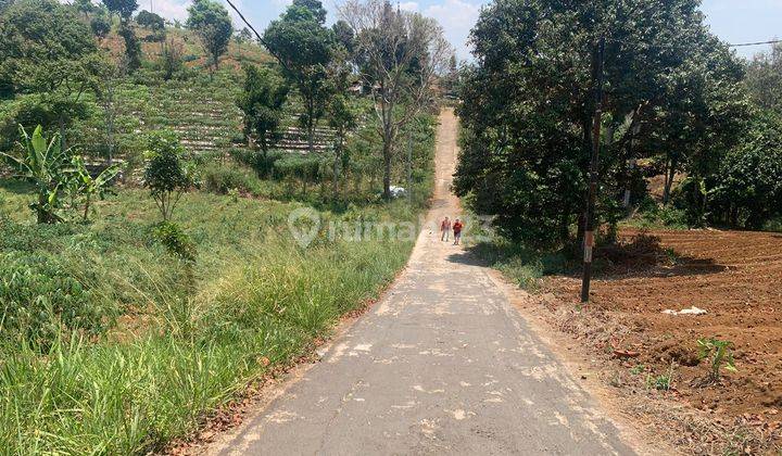 Tanah Lahan Siap Garap SHM di Sukaresmi, Cianjur, Jawa Barat 2