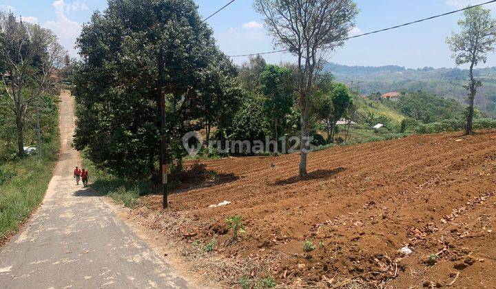 Tanah Lahan Siap Garap SHM di Sukaresmi, Cianjur, Jawa Barat 2