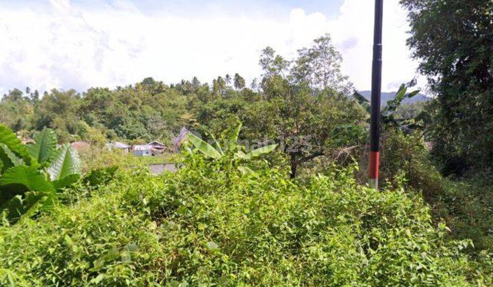 Tanah Kosong Luas Siap Garap Di Badjo Kima, Minahasa, Manado  2