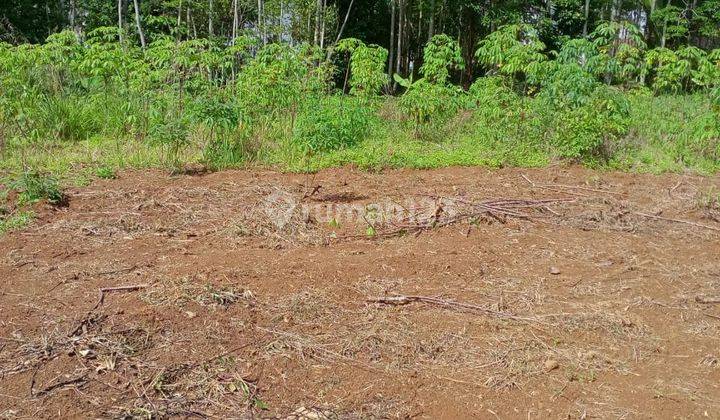 Tanah Datar SHM 10.600 m² Siap Garap di Lengkong, Sukabumi 2