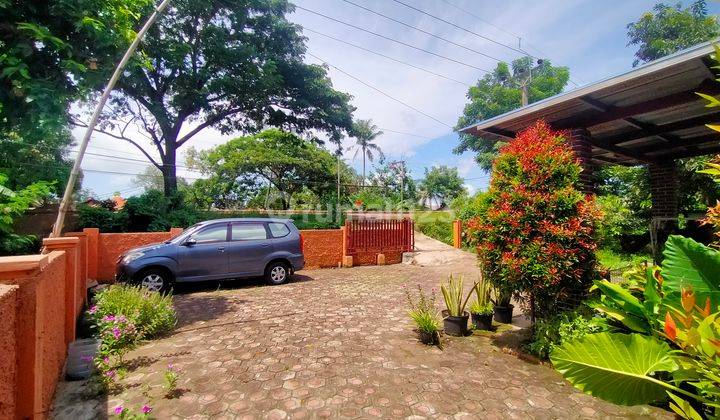 Rumah Strategis  Cocok Untuk Usaha Pinggir Jalan Raya Pantura 2