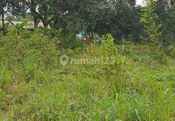 Lahan Dekat Dengan Stadion Pakan Sari Area Cibinong Bogor 1