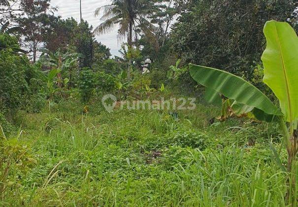 Lahan Di Cibinong Cocok Untuk Tempat Tinggal Atau Tempat Usaha 1