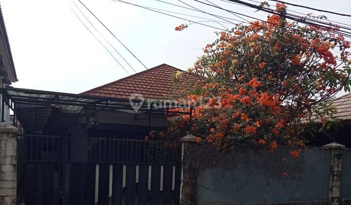 Rumah Besar Bangunan Lama Kawasan Cililitan Kramat Jati 1