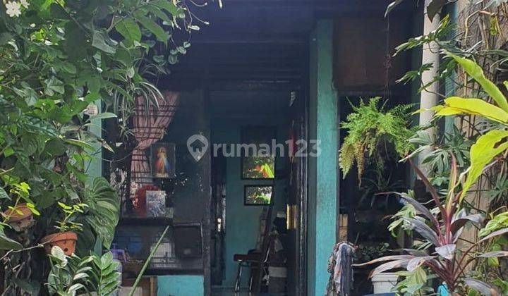 Di Jual Rumah Tua Hitung Tanah Kawasan Kebon Kelapa Bogor 1