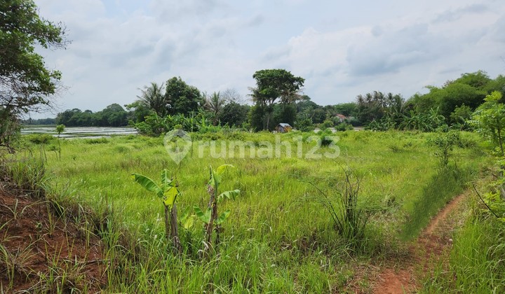 Dijual Cepat Lahan Kawasan Desa Kemiri Tangerang Dijual Cepat Lahan Kawasan Desa Kemiri Tangerang